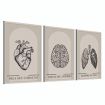 Kit Quadros Decorativos Mosaico 3 peças Trio Frase Anatomia Coração Cérebro Pulmão Medicina Floral