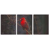 Kit Quadros Decorativos O Encanto do Pássaro Vermelho