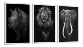 Kit Quadros Decorativos Quarto Sala Animais Elefante Leão Rinocerontes Com Vidro 60x90CM