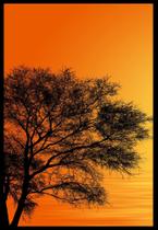 Kit Quadros Flamingo