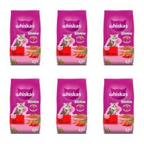 Kit Ração para Gatos Filhotes Carne 2,7Kg 6 Pacotes- WHISKAS