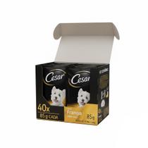 Kit Ração Úmida Cesar Sachê Cortes Selecionados Frango Marinado ao Molho para Cães Adultos 40 Unidades