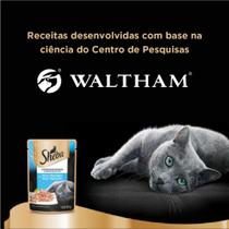 Kit Ração Úmida para Gatos Adultos Sabor Atum Marinado 20 Unidades Sheba Sachê