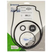 Kit Rápido de Vedação da Bomba Pentair 356198 Whisperflo Intelliflo Kit Rápido de Vedação da Bomba Pentair 356198 Whisperflo Intelliflo