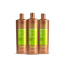 Kit Realinhamento Capilar Orgânico Tanino Reestruturação Molecular Burix One Prohall 1Litro - 3 unidades