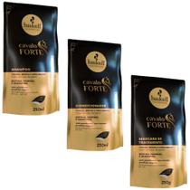 Kit Refil Cavalo Forte 250ml Completo 3 itens Haskell