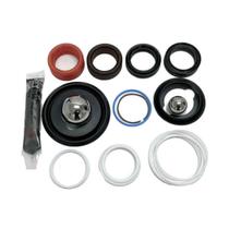 Kit Reparo da Bomba Xtreme 145cc - 25D234 Original Graco Kit Reparo da Bomba Xtreme 145cc - 25D234 Original Graco