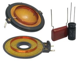 Kit Reparo Driver D 200 e Reparo Tweeter D250X c Capacitores