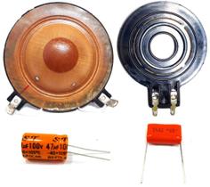 Kit Reparo Driver HDI320 e do S. Tweeter HI320 e Capacitores