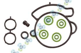 Kit Reparo para TBI SK537 Schuck Sistema Multi Point Escort 1.8 Todos Modelos Motor Zetec 16v