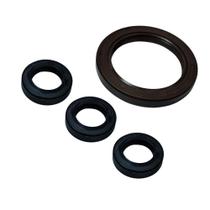 Kit Reparo Retentor do Pistão e Retentor Lateral Compatível com Lavadoras WAP Kit Reparo Retentor do Pistão e Retentor Lateral Compatível com Lavadoras WAP