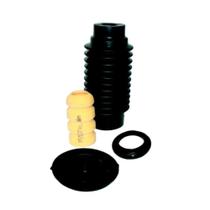 Kit Reparo Suspensão Dianteiro Authomix C3 2003 até 2011