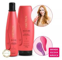 Kit Restaurador Shampoo e mascara Restore System Aneethun e ESCOVA