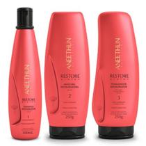 Kit Restore System Shampoo + Mascara + Finalizador Aneethun