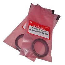 Kit Retentores Bengala Garfo 41x53x8/10,5 Xr Kx Kdx 55-117