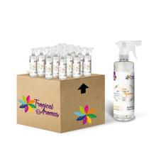 Kit Revenda Água de Passar Soft 500 ml 15 UN Kit Revenda Água de Passar Soft 500 ml 15 UN