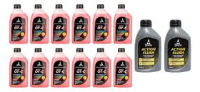 Kit Revisão Arrefecimento Gm Ômega 12l P.u + 2 Action Flush