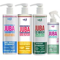 Kit Revitalizando a Juba Shampoo Condic e Co Wash Widi Care