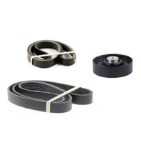 Kit Rolamento Poly V Com Correia Alternador e Direção JAC T8