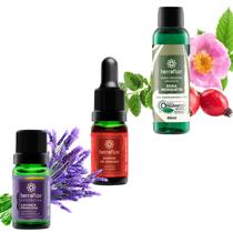 Kit Rosa Mosqueta, Lavanda e Sangue de Dragão - Terra Flor Kit Rosa Mosqueta, Lavanda e Sangue de Dragão - Terra Flor