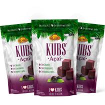 Kit Sache Pouch Kubs Açaí Desidratado Cubinhos 42G Proteína Academia - Mil e Ross