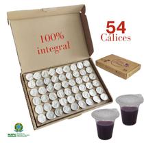 Kit Santa Ceia Com Suco De Uva - Cálice Nova Aliança 54 Unid Kit Santa Ceia Com Suco De Uva - Cálice Nova Aliança 54 Unid