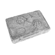 Kit Science Fossil Dig de escavação de dinossauros para crianças com ferramentas Kit Science Fossil Dig de escavação de dinossauros para crianças com ferramentas