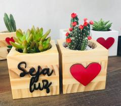 KIT SEJA LUZ / Cachepô em Marchetaria para mini plantas Cactos e Suculentas.