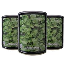 Kit Sementes de Agrião Topázio do Seco 300g Para Hortas Cultivo Fácil Kit Sementes de Agrião Topázio do Seco 300g Para Hortas Cultivo Fácil