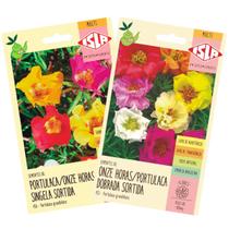 Kit Sementes de Flores Onze Horas Dobrada e Singela ISLA