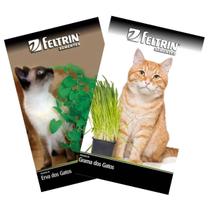 KIT Sementes de Grama e Erva dos Gatos Catnip FELTRIN