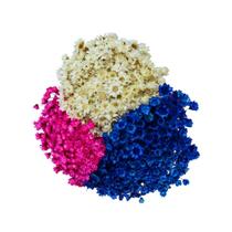Kit Sempre Viva 3 Cores - Pink, Azul e Branca Kit Sempre Viva 3 Cores - Pink, Azul e Branca