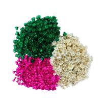 Kit Sempre Viva 3 Cores - Verde, Pink e Branco Kit Sempre Viva 3 Cores - Verde, Pink e Branco
