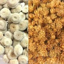 Kit Sempre Viva Bolinha Bco Espetinho Natural Desidratada