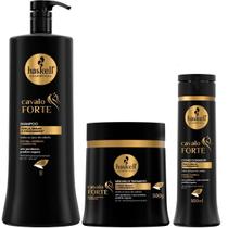 Kit Sh 1L Cond 300Ml Máscara 500Gr Haskell Cavalo Forte