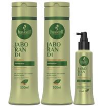 Kit Sh Cond 300Ml Tonico 120Ml Haskell Jaborandi