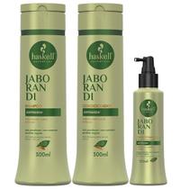 Kit Sh Cond 300Ml Tonico 120Ml Haskell Jaborandi