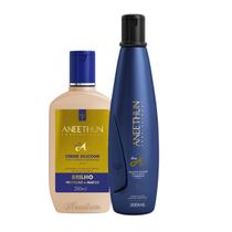 Kit Shampoo 300Ml Creme De Silicone 250Ml Linha A Aneethun