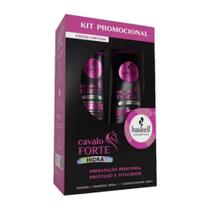 Kit Shampoo 500ml + Condicionador 300ml Haskell Hidra Cavalo Forte Kit Shampoo 500ml + Condicionador 300ml Haskell Hidra Cavalo Forte