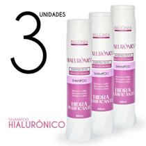 KIT Shampoo Begonia Hialurônico 400ml 3 Unds KIT Shampoo Begonia Hialurônico 400ml 3 Unds