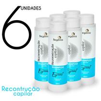 KIT Shampoo Begonia Reconstrução Capilar 400ml 6 Unds KIT Shampoo Begonia Reconstrução Capilar 400ml 6 Unds