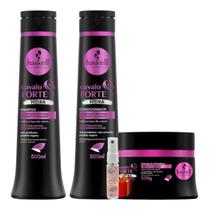 Kit Shampoo + Cond 500ml + Masc. 300ml + Protetor Haskell Cavalo Forte Hidra + Presente Lourre 15ml