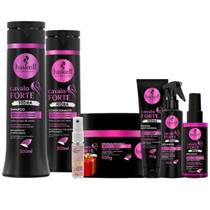 Kit Shampoo + Cond + Masc + Protetor + Fluido + Serum Haskell Cavalo Hidra 300 ML + Presente Lourre 15ml