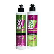 Kit Shampoo + Condicionador Babosa com Hialurônico BioSeiva 300mL - Hidratação, Força e Brilho Kit Shampoo + Condicionador Babosa com Hialurônico BioSeiva 300mL - Hidratação, Força e Brilho