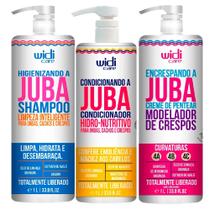 Kit Shampoo + Condicionador + Creme De Pentear Widi Care Encrespando a Juba 1L
