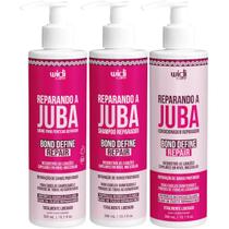 Kit Shampoo Condicionador E Creme Pentear Reparando A Juba Widi Care Bond Define Repair Reparador