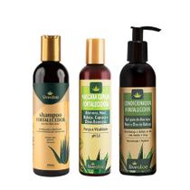 Kit Shampoo, Condicionador e Máscara Fortalecedora Livealoe Com Aloe Vera - Live Aloe