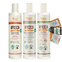 Kit Shampoo Condicionador Gelatina Restaurador África Baobá Acidificante Cachos Vegano Apice 3x300ml