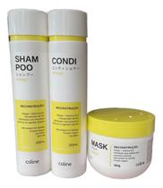 Kit Shampoo Condicionador Máscara Capilar Mango Coline