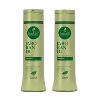 Kit Shampoo e Condicionador 300ml Jaborandi Haskell